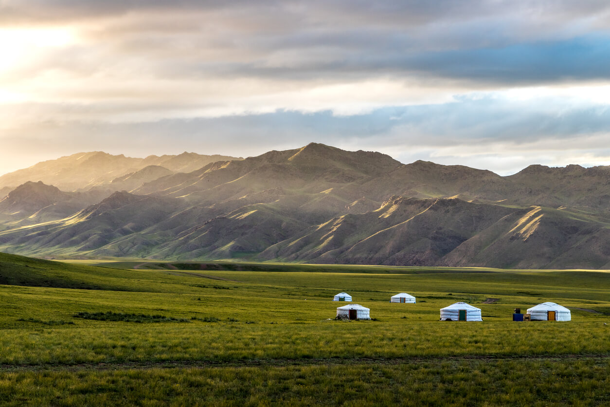 V Dret I Mongoliet I Juli 2024 Klimat Och Temperatur N R Och Vart   Mongolie 73 